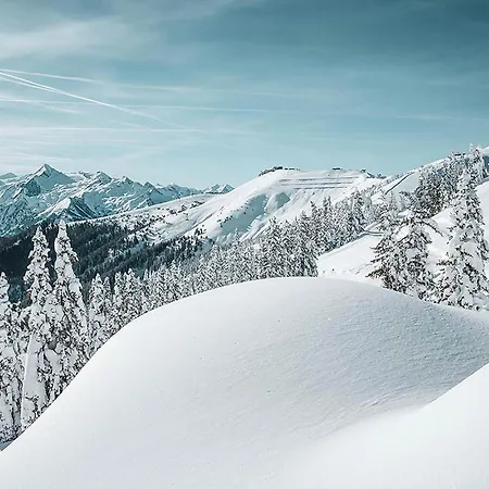 Haus Elise By We Rent * ツェル アム ゼー